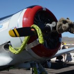 reno 2023 postcards 54