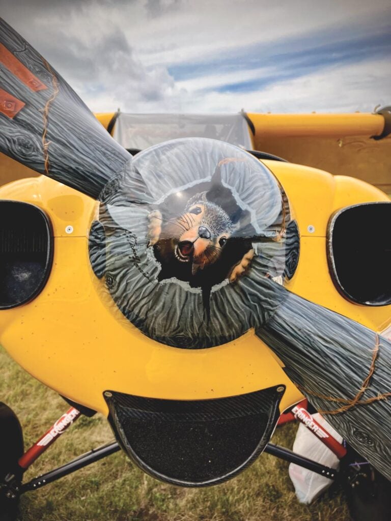 Gopher Spinner FORES