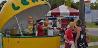 Sun ‘n Fun 2024: First Impressions