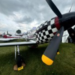 Yup – Another Mustang