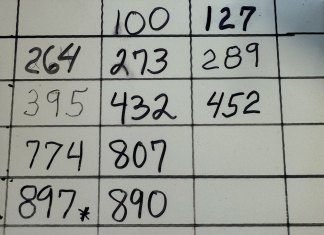 Homebuilt Count Up Again This Year