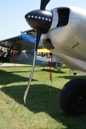 postcards tom wilson dsc 3927