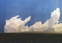 The Iceman Cometh
