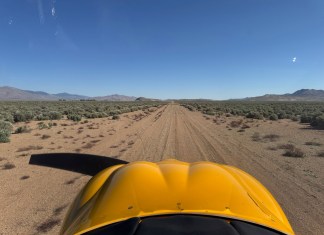 Fun with a Cub NX Cub on dirt runway