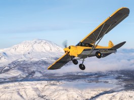 Home-Rolled XCub XCub / NXCub in flight. Photo: Jon Bliss
