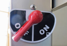 [Credit: Lisa Turner]