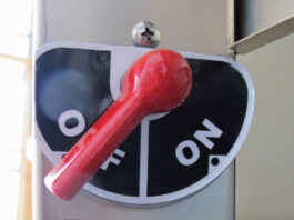 [Credit: Lisa Turner]