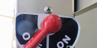 [Credit: Lisa Turner]