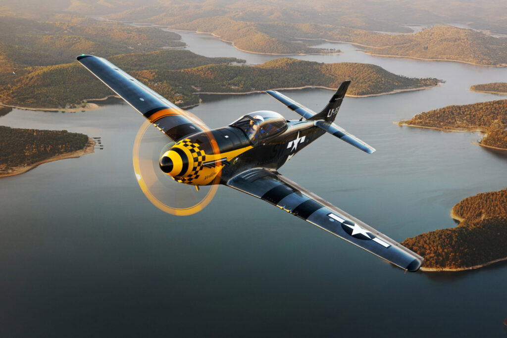 [Credit: ScaleWings]