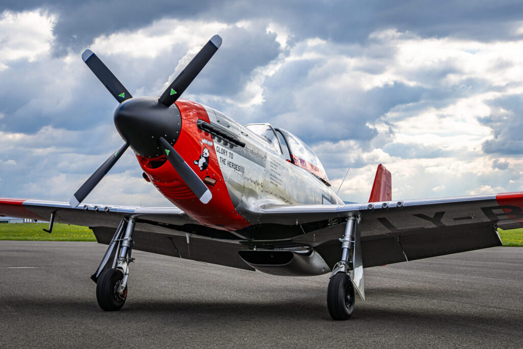 [Credit: ScaleWings]