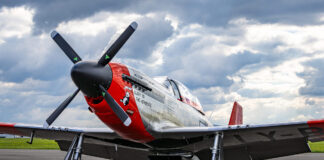 [Credit: ScaleWings]