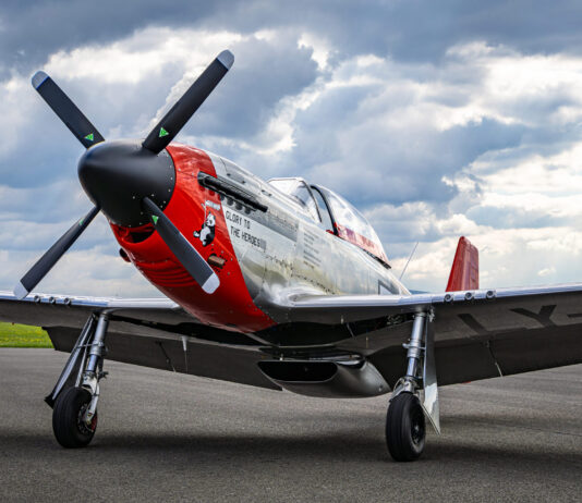 [Credit: ScaleWings]