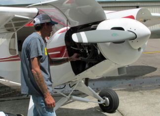 [Credit: Lisa Turner]