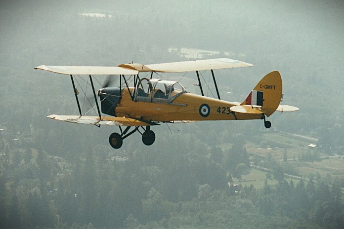 CMF Moth [Credit: Mike Davenport]