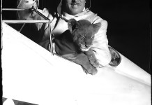 Roscoe Turner, a pilot who defined flamboyance with his waxed mustache, a uniform that included jodhpurs, and a pet lion named Gilmore that flew with him. [Credit: Associated Press]