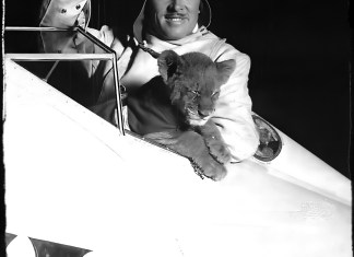 Roscoe Turner, a pilot who defined flamboyance with his waxed mustache, a uniform that included jodhpurs, and a pet lion named Gilmore that flew with him. [Credit: Associated Press]